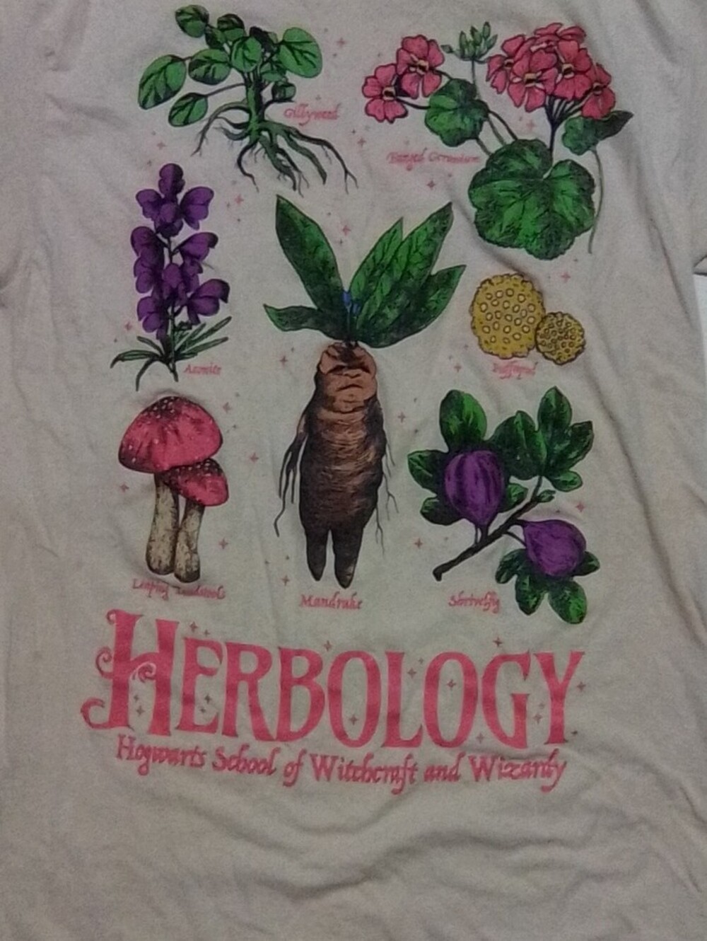 Herbology Kids Short Sleeve Tee - Cream Botanical Graphic - Picture 2 of 4